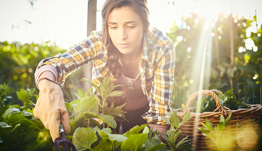 What Does Biodynamic® Mean For Your Skin?